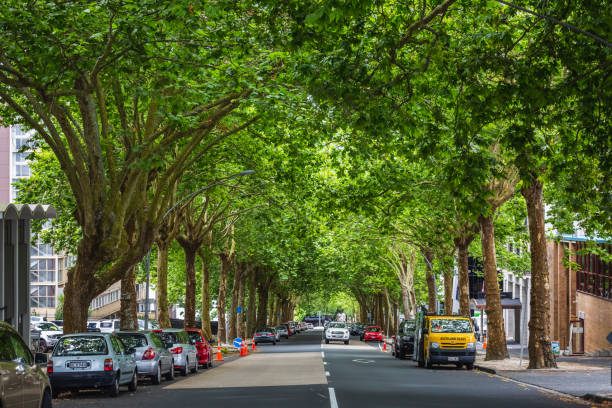 New Zealand editorial Green alley with parked cars. Auckland, New Zealand - December 15 2017. albert park stock pictures, royalty-free photos & images