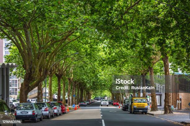 New Zealand Editorial Stock Photo - Download Image Now - Albert Park, Alley, Architecture