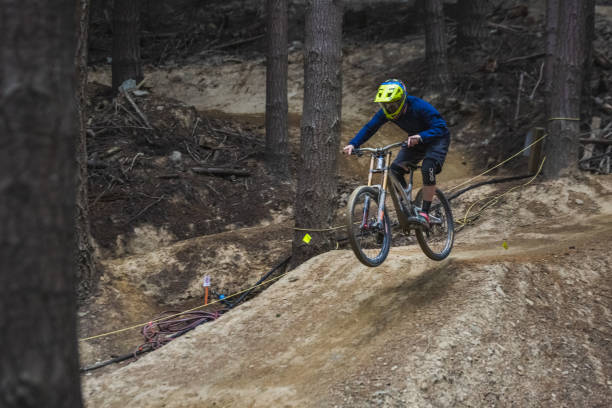 Mountain bike racer in the forest. Queenstown, New Zealand - December 17 2017.
