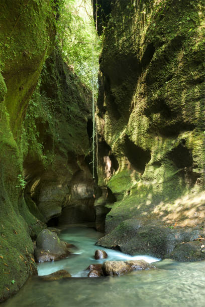 istock Tembuku waterfall, Bali, Indonesia 1216464836