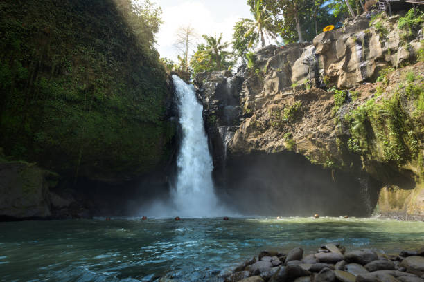 istock Tegenungan Waterfall and natural park, Bali, Indonesia 1216465015