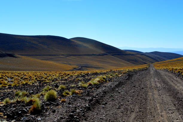 istock Caipe heights in Salta province 1216467616