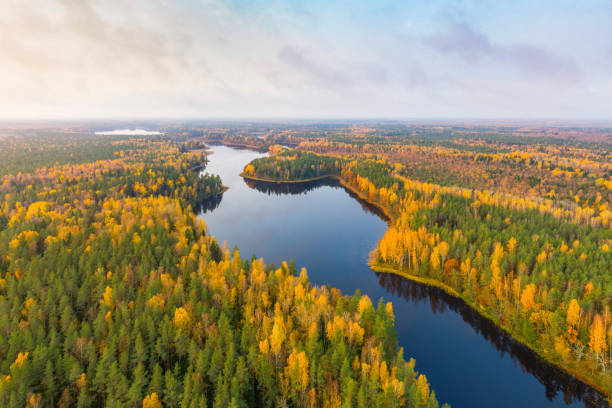 istock Autumn morning from bird's eye view 1216469670