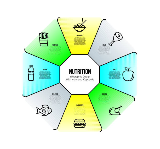 szablon projektu infografiki ze słowami kluczowymi i ikonami żywieniowymi - dieting weight scale carbohydrate apple stock illustrations