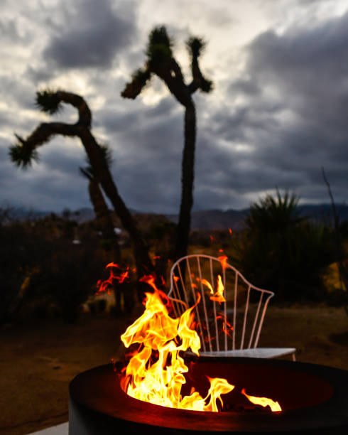 istock Fire Pit in Desert with Large Flame and Joshua Tree 1216472743