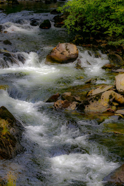 River running through Creek street in Ketchikan, Alaska, the salmon capital of the world. USA