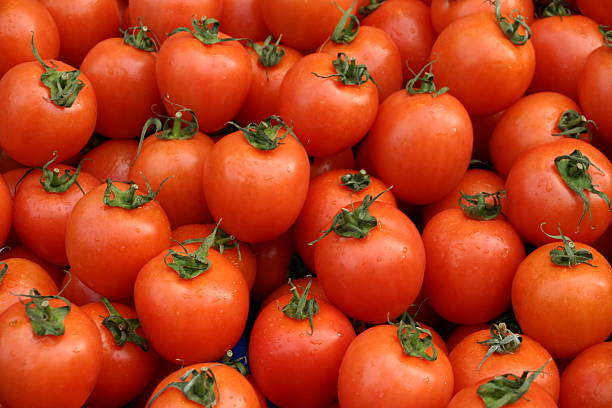 tomates - moving up fruit close to togetherness photos et images de collection