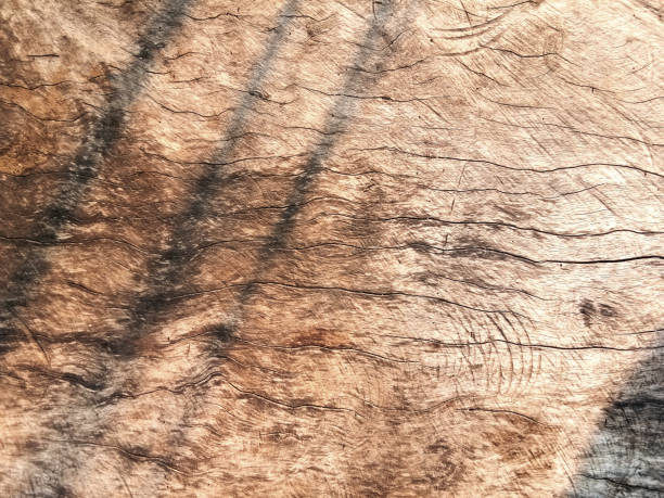 istock Old wooden floor for graphic design 1216488590