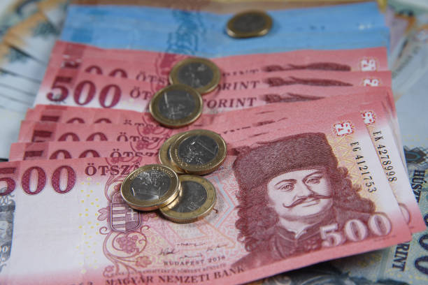 istock Various Hungarian forint banknotes and euro coins. 1216490453