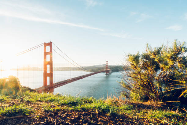 Free Stock Photo of A View of the Golden Gate Bridge From a Trail ...