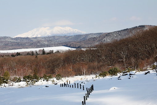 Mountain and Autumn  beautiful leave on a snowy day in Nagano Prefecture, Japan