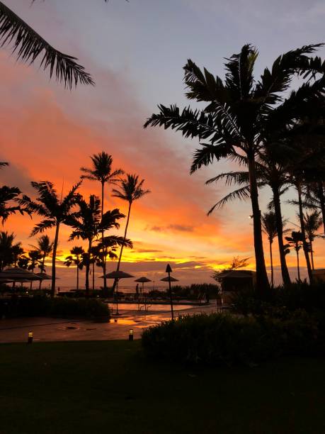 istock Sunset in Kauai Island 1216499413