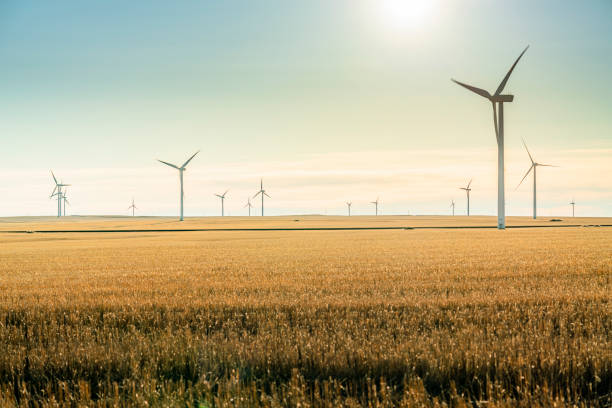 istock Wind turbines silhouette on sunset 1216499691