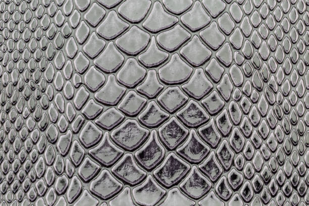 istock close up of exotic Snakeskin pattern 1216500269