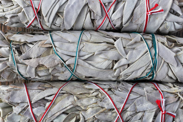 istock White Sage Smudge Stick Close Up 1216503497