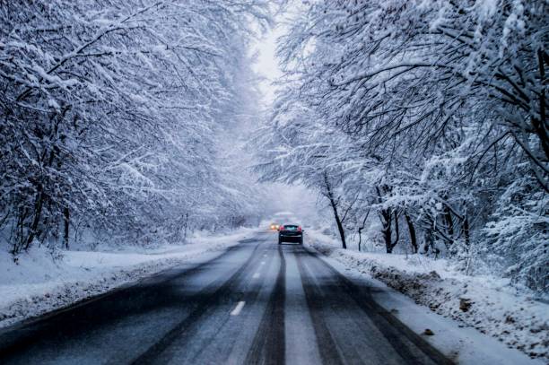 istock Tree tunnel during winter season, Romania. 1216505326