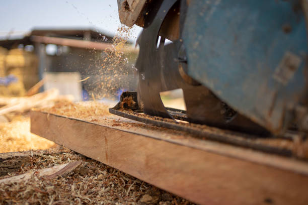 A man sawing wood. Men use electric saws to cut stump into planks. lumber industry timber lumberyard industry stock pictures, royalty-free photos & images