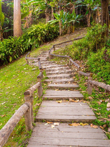 istock Old stone staircase, walkway steps on the mountain trail. 1216507248