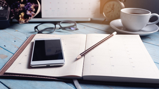 Diary Calendar and agenda for Planner