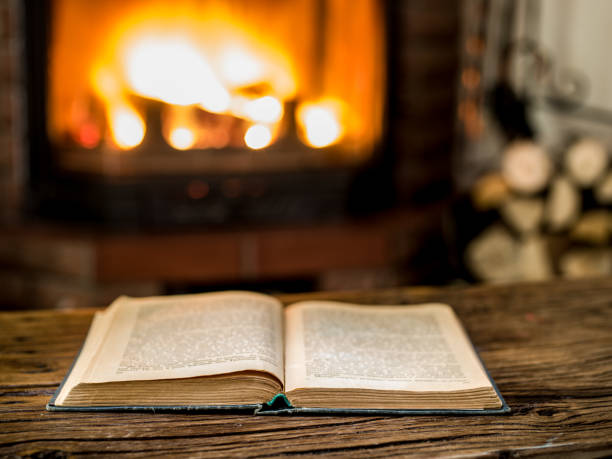 istock Reading the book near the fireplace. Time spending. 1216517916