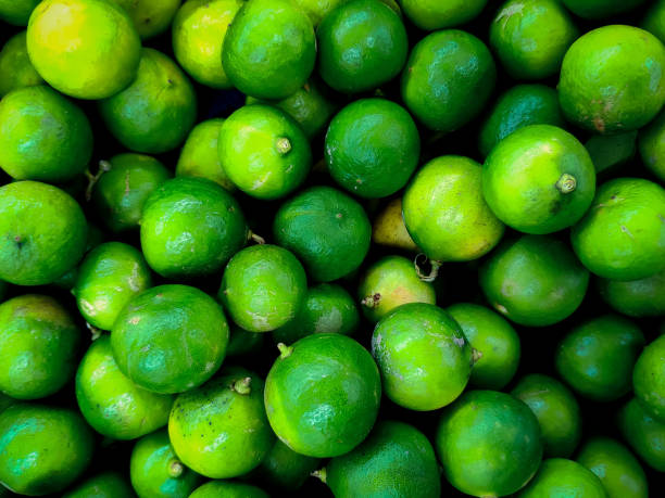 istock Limes stock photo 1216518789