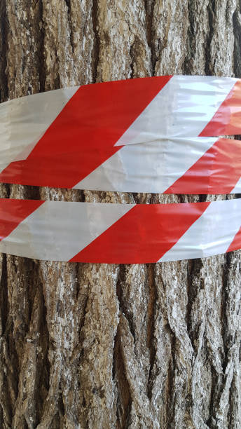 ruban de prudence enveloppé sur le plan rapproché rugueux du tronc d’arbre. ruban en plastique rayé rouge et blanc attaché et croisé sur la surface de l’écorce d’arbre fissurée. fond texturé en bois avec l’espace de copie. ne croisez pas le - cross shape cross rough wood photos et images de collection