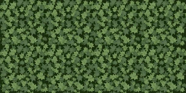 Realistic seamless wallpaper, background. Green Ivy braiding wall. Vector Realistic seamless wallpaper, background. Green Ivy braiding wall. Vector illustration green wall stock illustrations