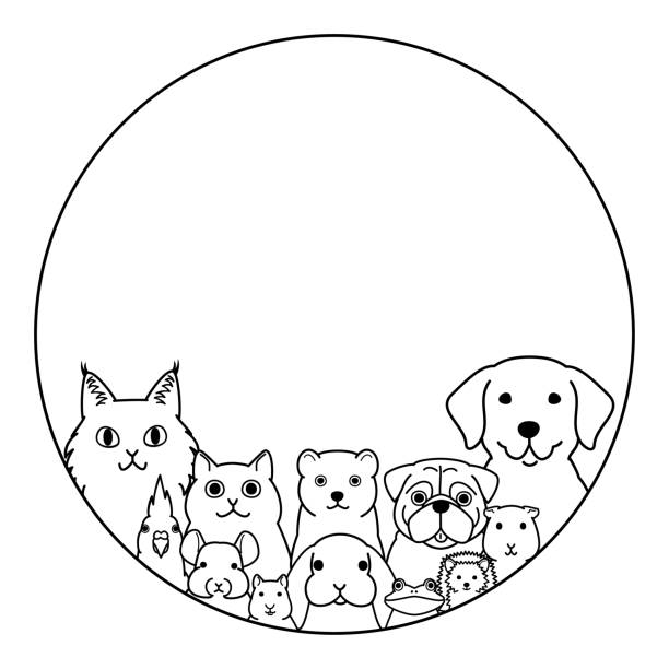 Pet Animals In Round Frame Design Stock Illustration - Download Image Now -  Group Of Animals, Pets, White Background - iStock