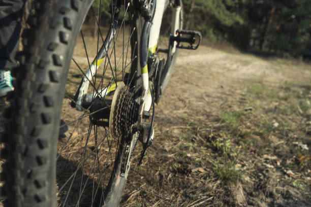 istock Bicycle in the forest, close up 1216526127