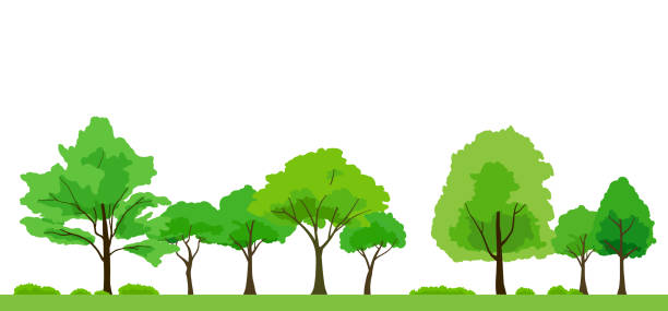 illustrations, cliparts, dessins animés et icônes de illustration verte de paysage d’arbre, fond - chestnut tree leaf tree white background