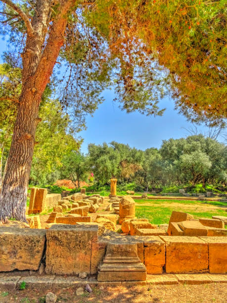 istock Tipaza archaeological site, Algeria 1216528859