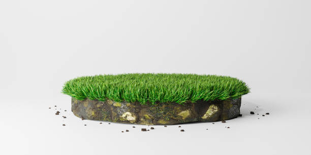 Round soil ground cross section with green grass stock photo