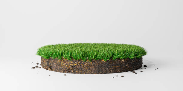 istock Round soil ground cross section with green grass 1216529775