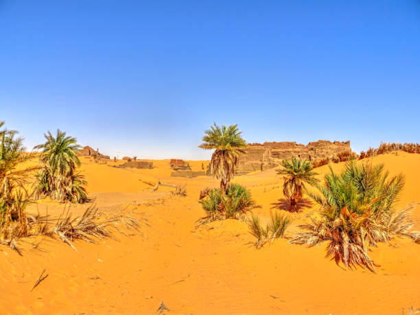 istock Algerian Sahara near Timimoun 1216529869