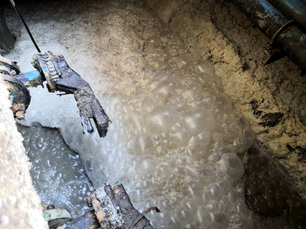 istock Sewage treatment system ,Waste stabilization pond,The oxygen concentration varies in the liquid column: Close to the surface, concentrations are high and support the growth of aerobic organisms. 1216532288