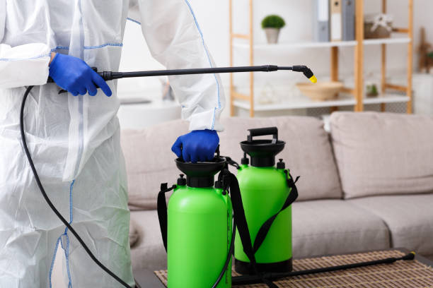 istock Unrecognizable person disinfecting home sofa with cleaning spray 1216536358