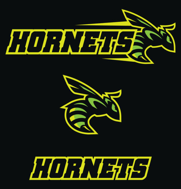 Hornets Team Mascot Mascot illustration with determined hornet in attack. hornet stock illustrations