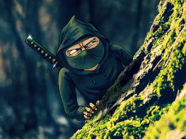 Photo of Ninja Hiding in a Woods