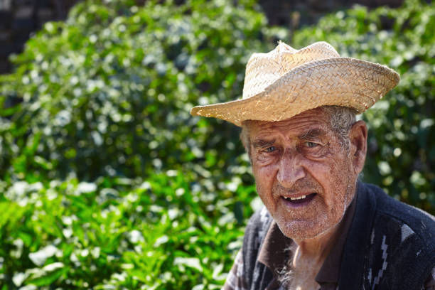 istock Mediterranean old farmer in his vegetable garden 1216539214