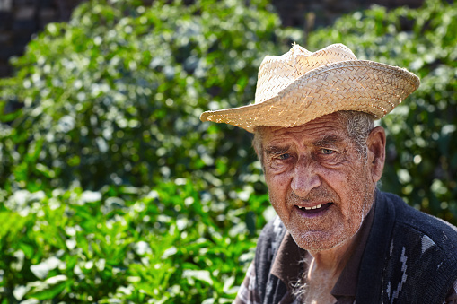 Mediterranean old farmer in his vegetable garden
