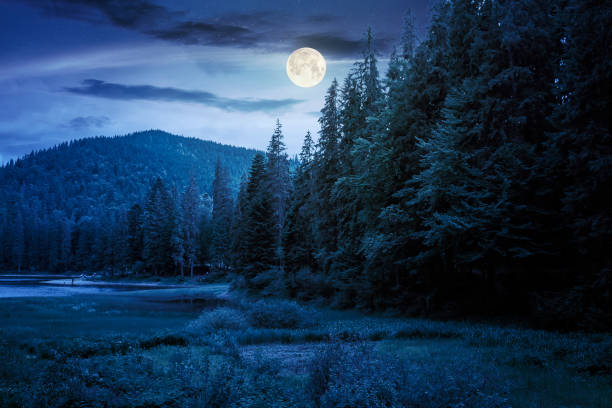 istock lake summer landscape at night 1216540414