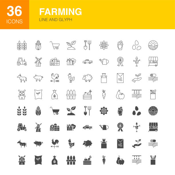 Farming Line Web Glyph Icons Farming Line Web Glyph Icons. Vector Illustration of Countryside Outline and Solid Symbols. farm icons stock illustrations