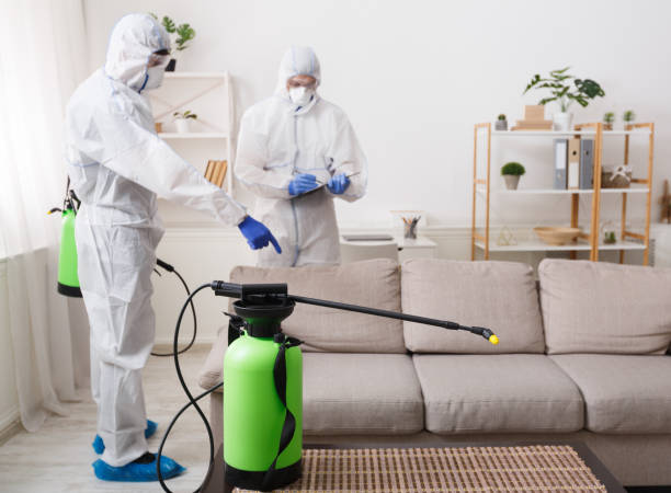 istock Cleaning company making treatment of sofas and surfaces 1216543728