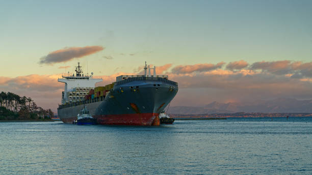 kontenerowiec przybywający do port nelson w nowej zelandii. - piloting commercial dock harbor industrial ship zdjęcia i obrazy z banku zdjęć