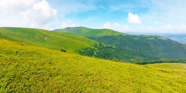 istock alpine scenery of carpathian mountains 1216545678