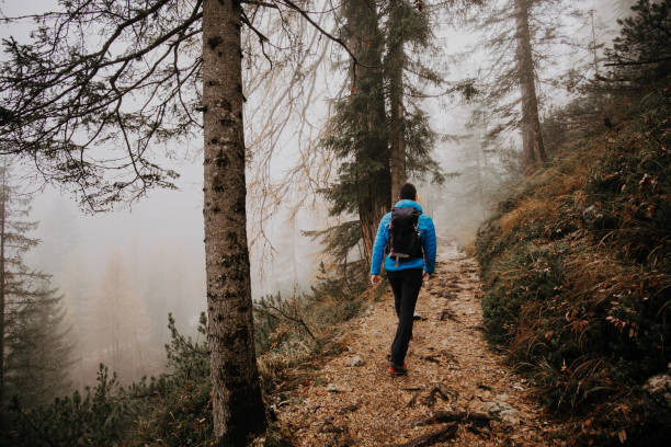 istock Traveling and hiking 1216548777