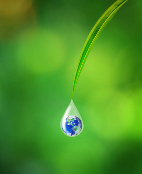istock International Earth Day Concept, Earth in water drop reflection under green leaf 1216550719