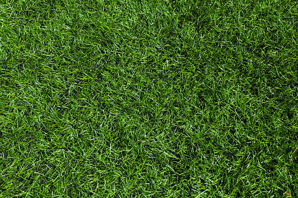 istock Synthetic green grass football pitch 121655073