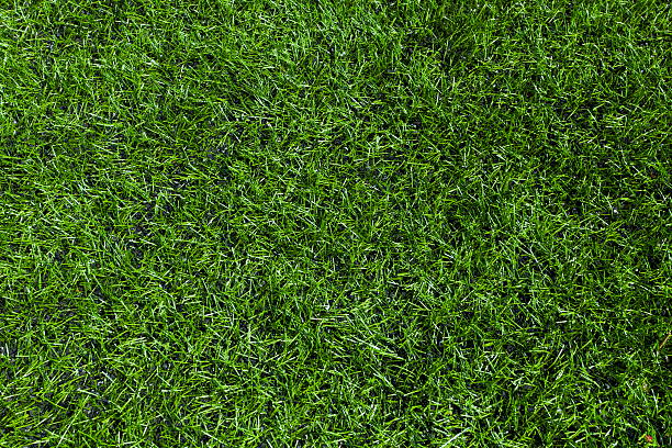 Synthetic green grass football pitch stock photo