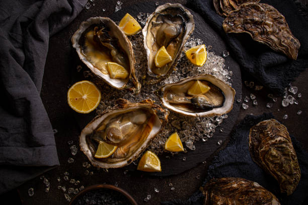 istock Arranged oysters in black slate board 1216551419